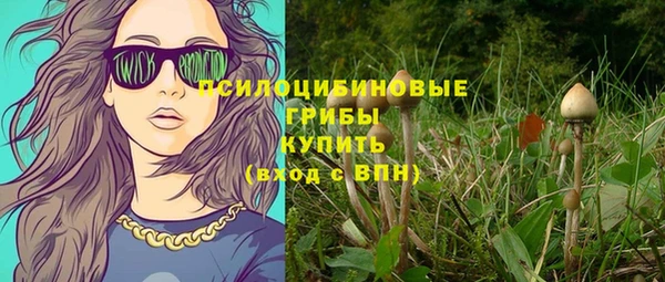 мдпв Нягань