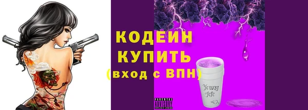 стаф Няндома