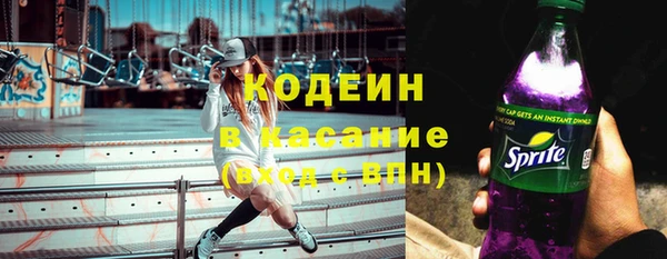 стаф Няндома