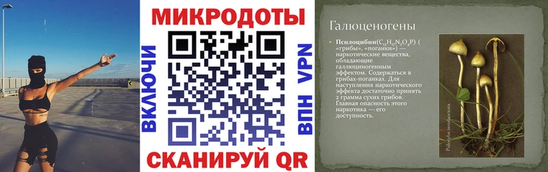 мориарти наркотические препараты  Лыткарино  Галлюциногенные грибы мицелий  блэк спрут зеркало 