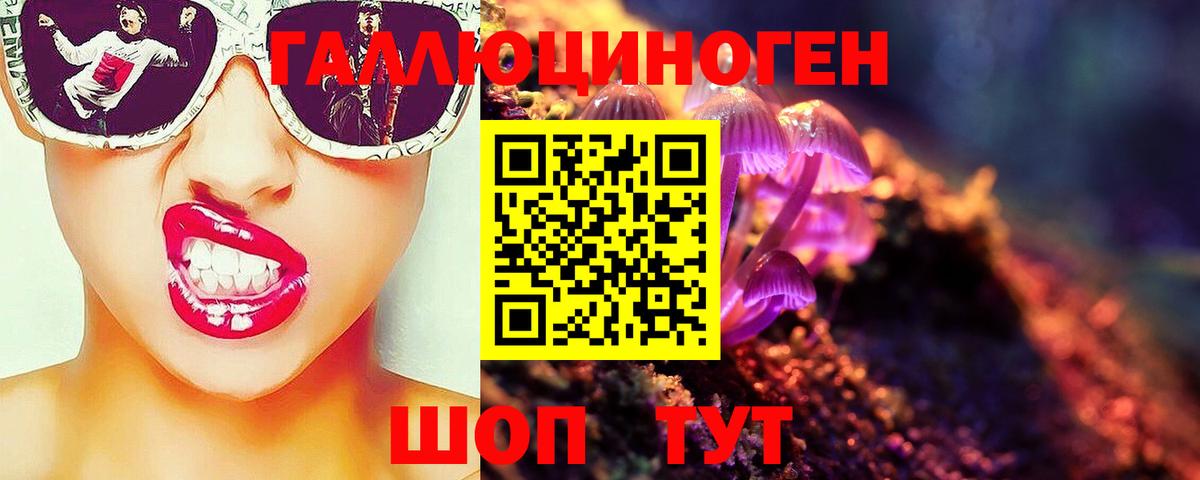 Галлюциногенные грибы GOLDEN TEACHER  Вход с VPN  Лыткарино  Галлюциногенные грибы GOLDEN TEACHER 