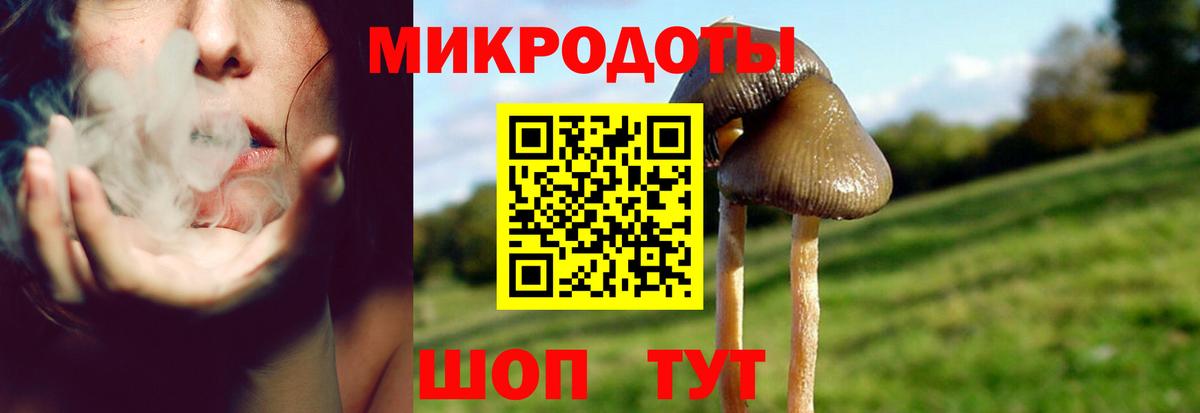 Галлюциногенные грибы прущие грибы Лыткарино